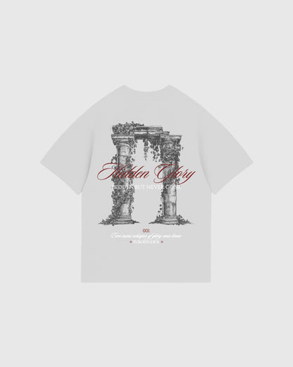 HIDDEN GLORY - GRIS CEMENTO