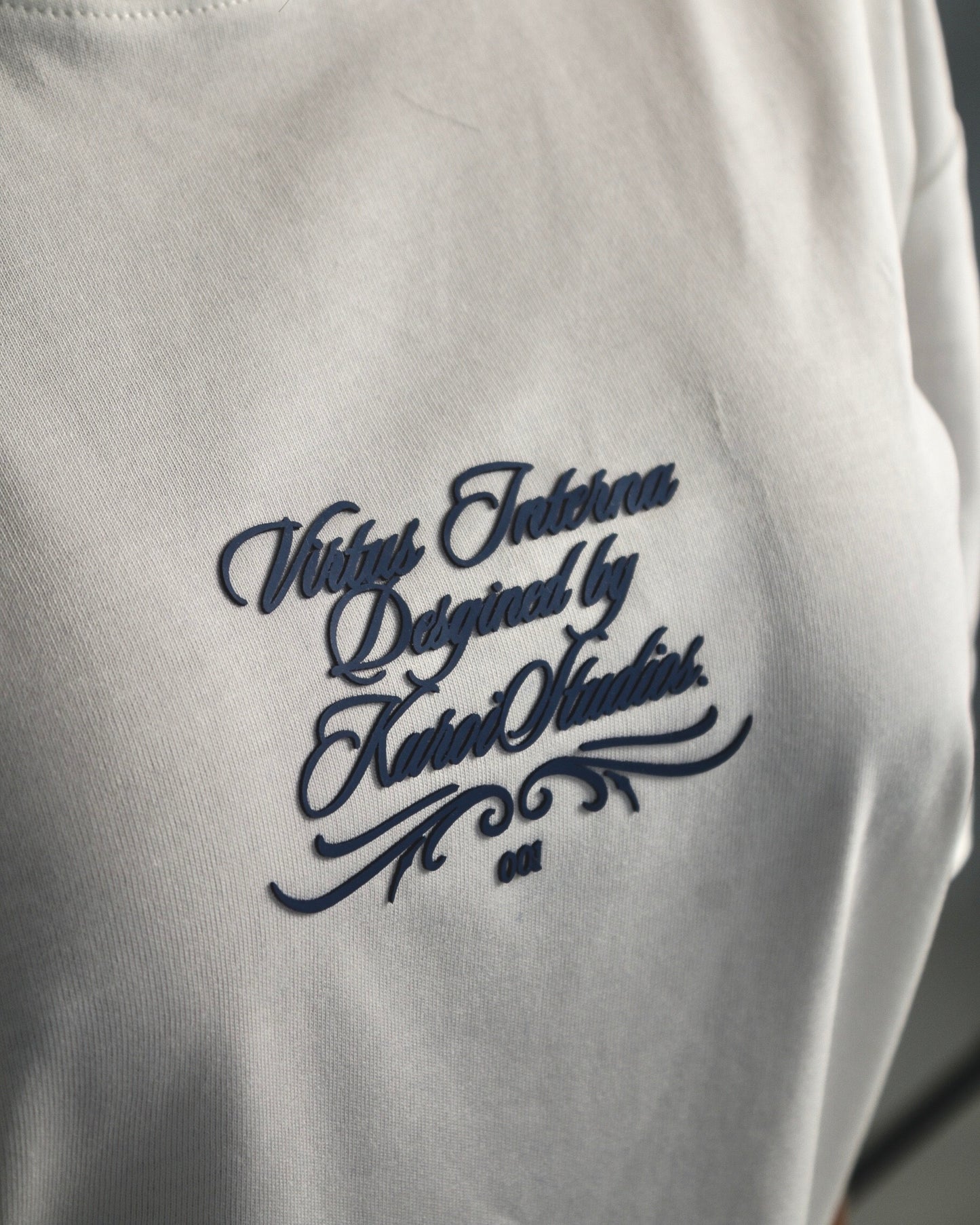 VIRTUS INTERNA - BLANCO HUESO